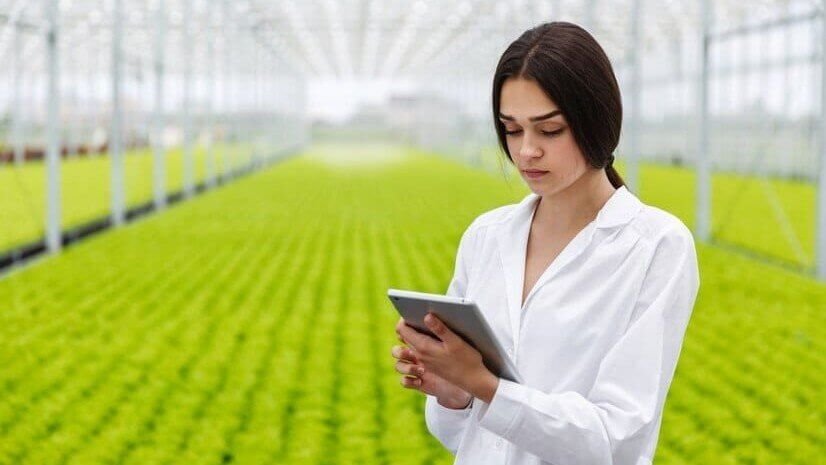 Como a inteligência de mercado pode contribuir com o agronegócio?